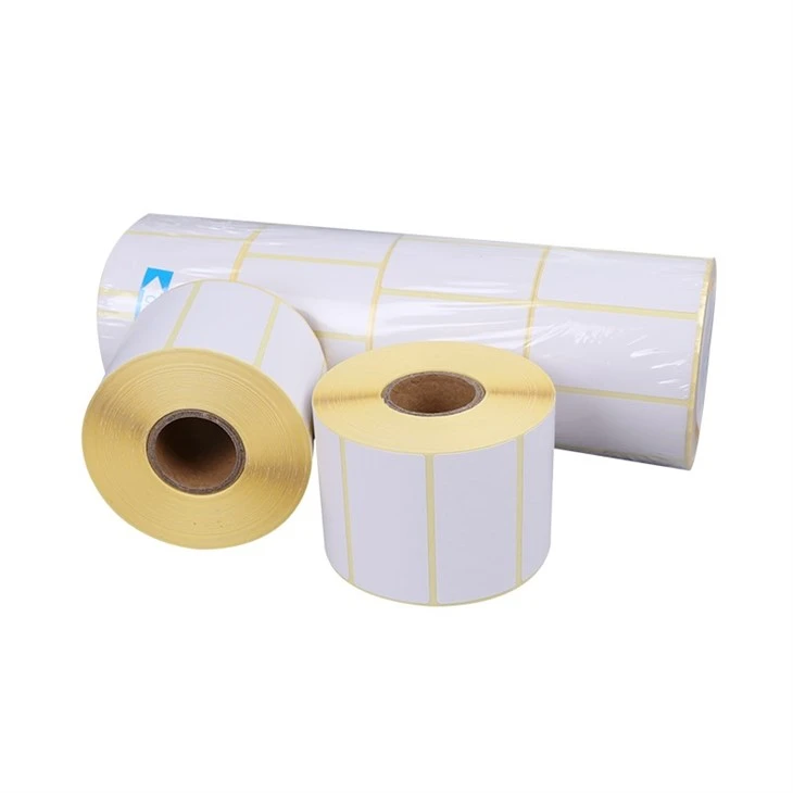IMG_7158